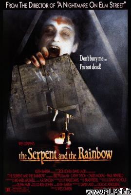 Affiche de film Il serpente e l'arcobaleno