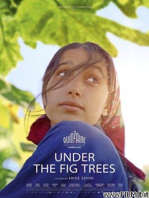 Poster of movie Under the Fig Trees