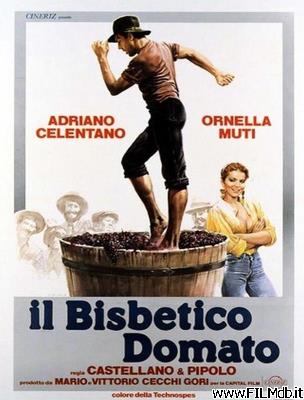 Poster of movie il bisbetico domato