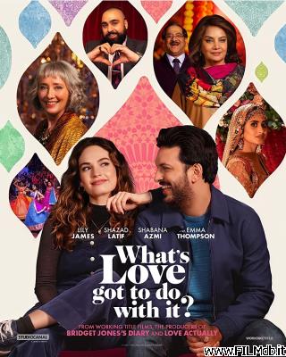 poster Locandina del film What's Love Got to Do with It?