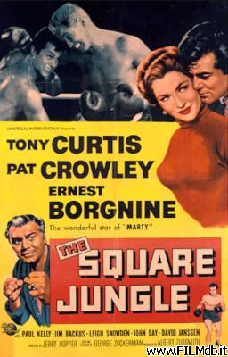 Poster of movie The Square Jungle