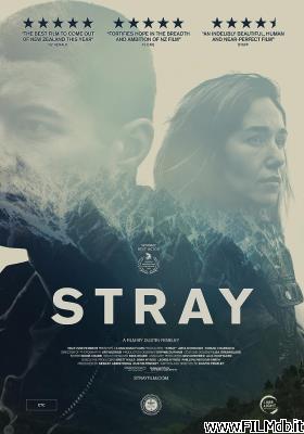 Cartel de la pelicula Stray