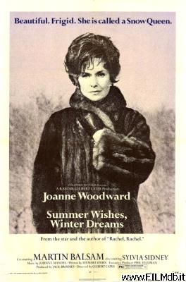 Affiche de film summer wishes, winter dreams