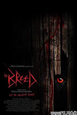Poster of movie the breed