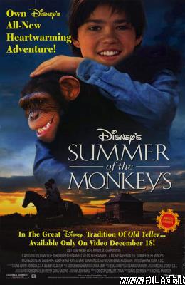 Cartel de la pelicula El verano de los monos [filmTV]