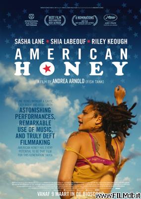 poster Affiche de film american honey