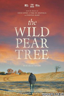 Poster of movie the wild pear tree