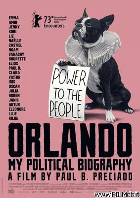 Affiche de film Orlando, ma biographie politique