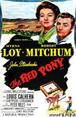 Affiche de film Le poney rouge