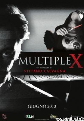 Locandina del film multiplex