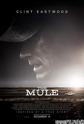 Affiche de film The Mule