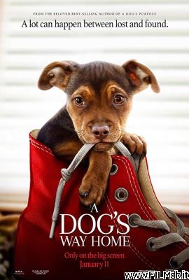 Poster of movie a dog's way home