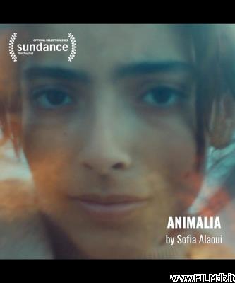 poster Locandina del film Animalia