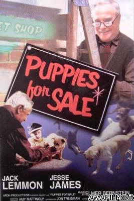 Affiche de film Puppies for Sale [corto]
