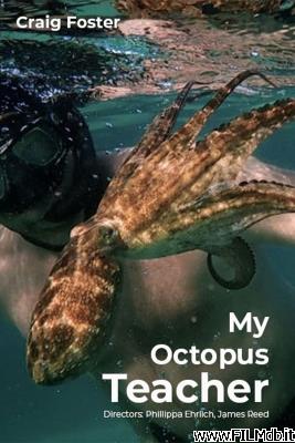 poster Cartel de la pelicula My Octopus Teacher