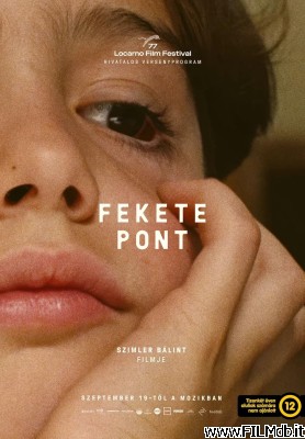 poster Cartel de la pelicula Fekete pont