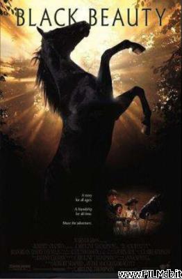 poster Cartel de la pelicula black beauty