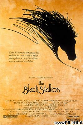 Cartel de la pelicula black stallion