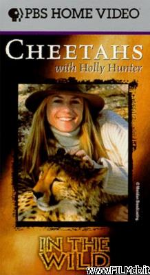 Affiche de film Cheetahs with Holly Hunter [filmTV]