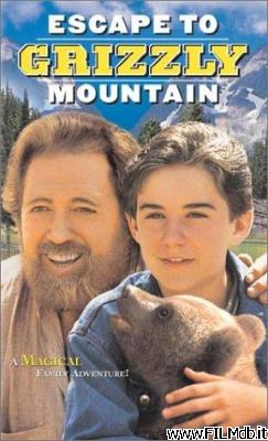 Poster of movie Escape to Grizzly Mountain