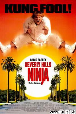 Poster of movie Beverly Hills Ninja