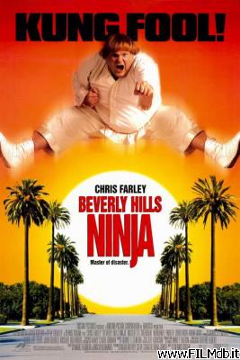poster Cartel de la pelicula Mai dire ninja