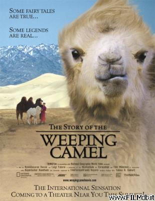 poster Cartel de la pelicula La storia del cammello che piange