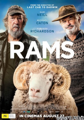 Affiche de film Rams