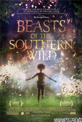 Poster of movie Beasts of the Southern Wild