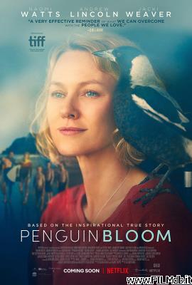 poster Affiche de film Penguin Bloom