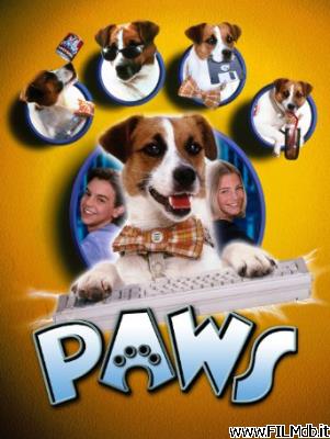 poster Affiche de film paws