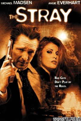 Poster of movie The Stray