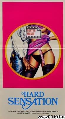 poster Locandina del film Hard Sensation