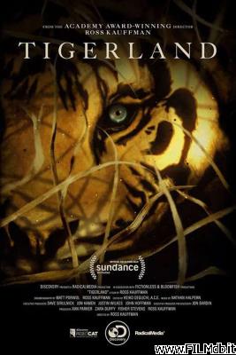 Cartel de la pelicula Taken by the Tiger