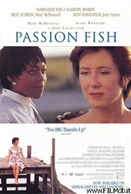 poster Locandina del film amori e amicizie
