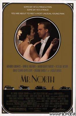 Locandina del film Mr. North