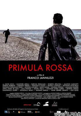 Affiche de film Primula rossa