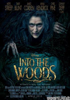 Locandina del film into the woods