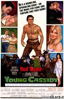 Locandina del film Il magnifico irlandese