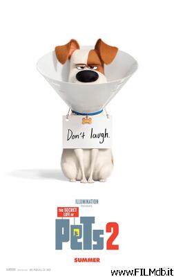 Poster of movie the secret life of pets 2
