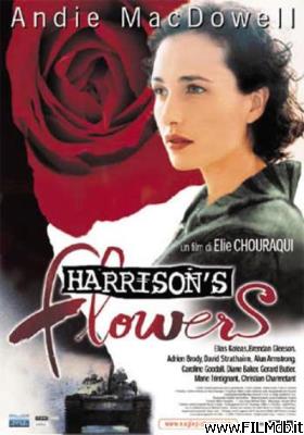 poster Locandina del film harrison's flowers