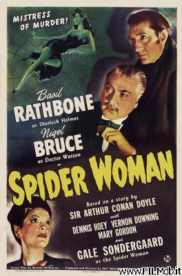 Affiche de film La femme aux araignées