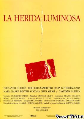 Poster of movie La herida luminosa