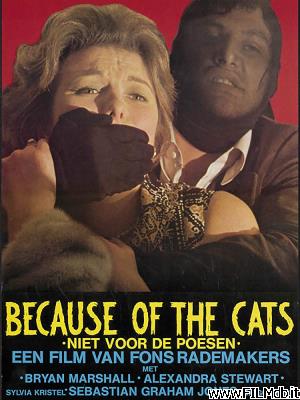 Affiche de film perché i gatti