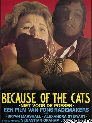 poster Poster of movie because of the cats