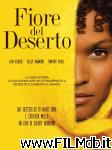 poster del film Fiore del deserto