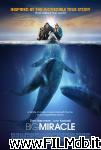 poster del film Big Miracle