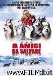 poster del film eight below