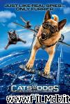 poster Cani e gatti - La vendetta di Kitty poster del film Cani e gatti - La vendetta di Kitty