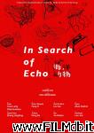 poster del film In Search of Echo
